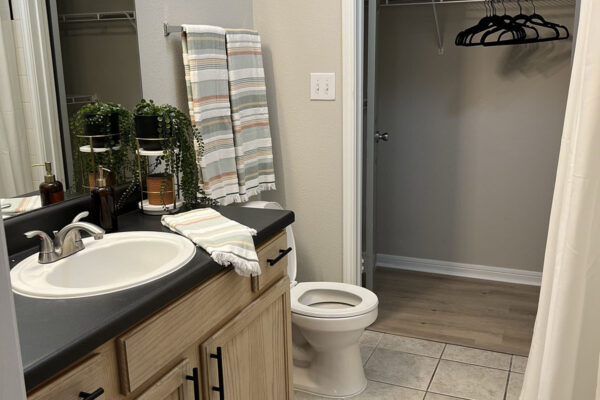 9HUNDRED Apartments in Austin, Texas - Bathroom & Closet